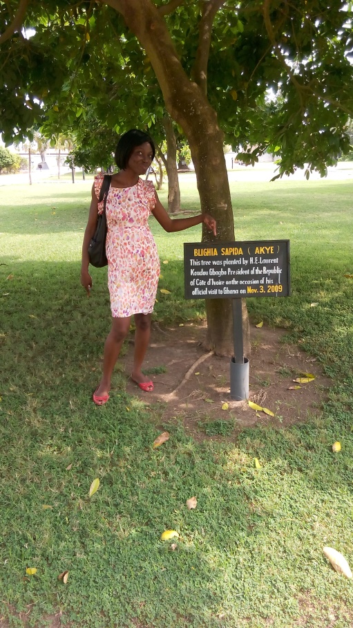 arbre-plante-par-laurent-gbagbo